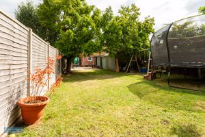 Garden- click for photo gallery